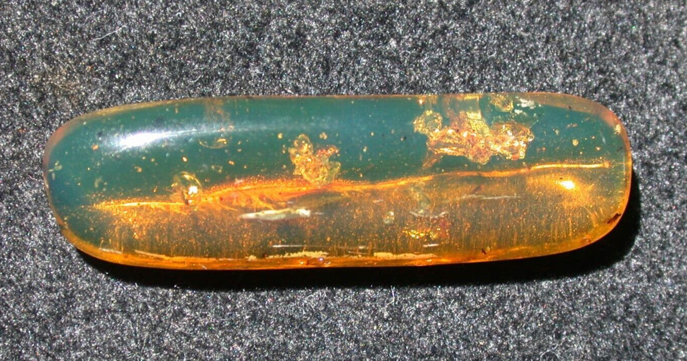 Beautiful BLUE Green Dominican Amber Fossil Gemstone with 14 Insects