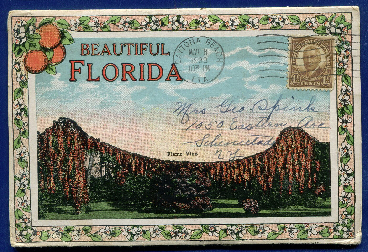 Beautiful Florida 1930s Flame Vine Postcard Folder PF513