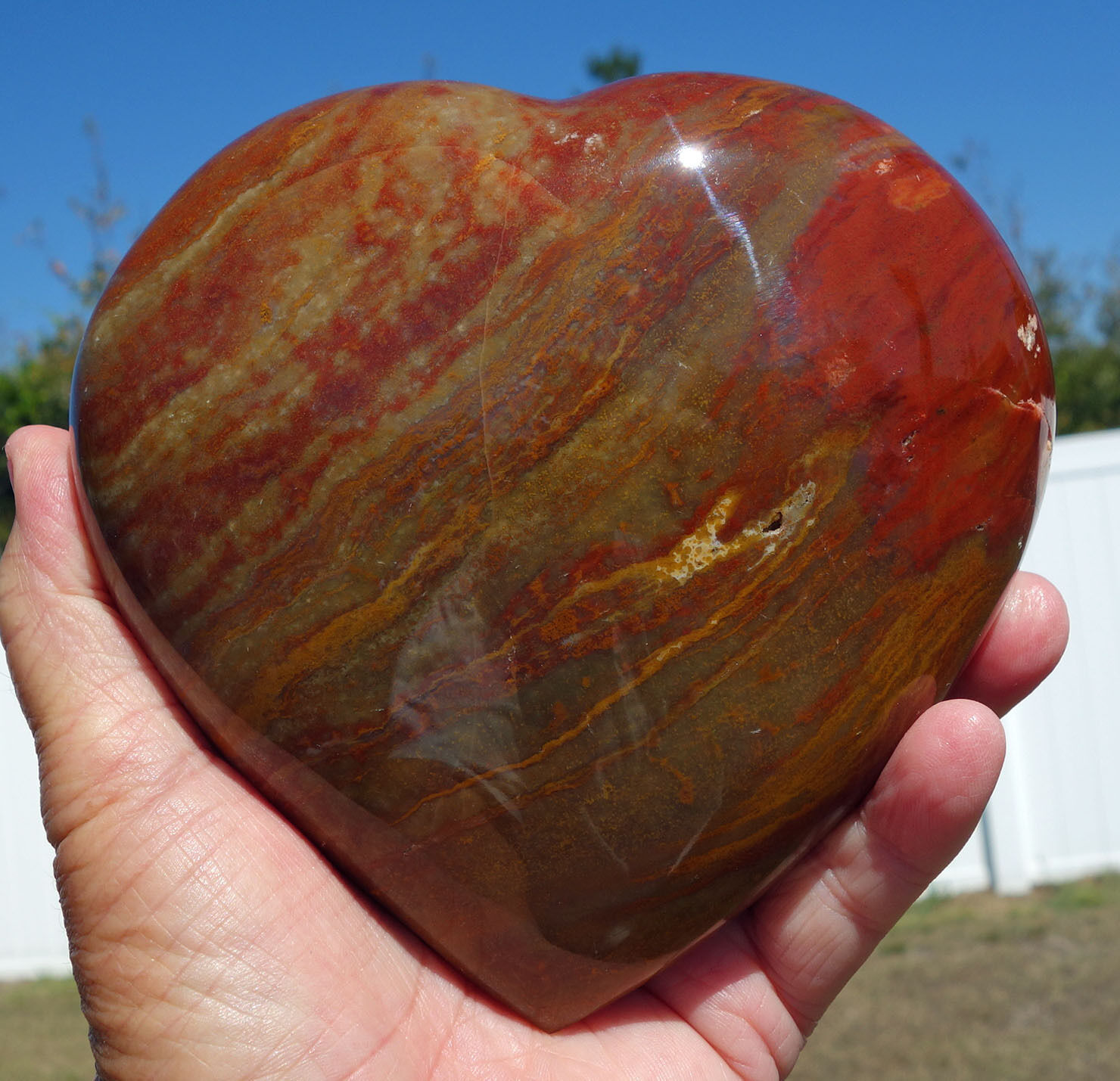 Red Jasper in Agate Crystal Healing Heart Point Giant Size Love Stone Display