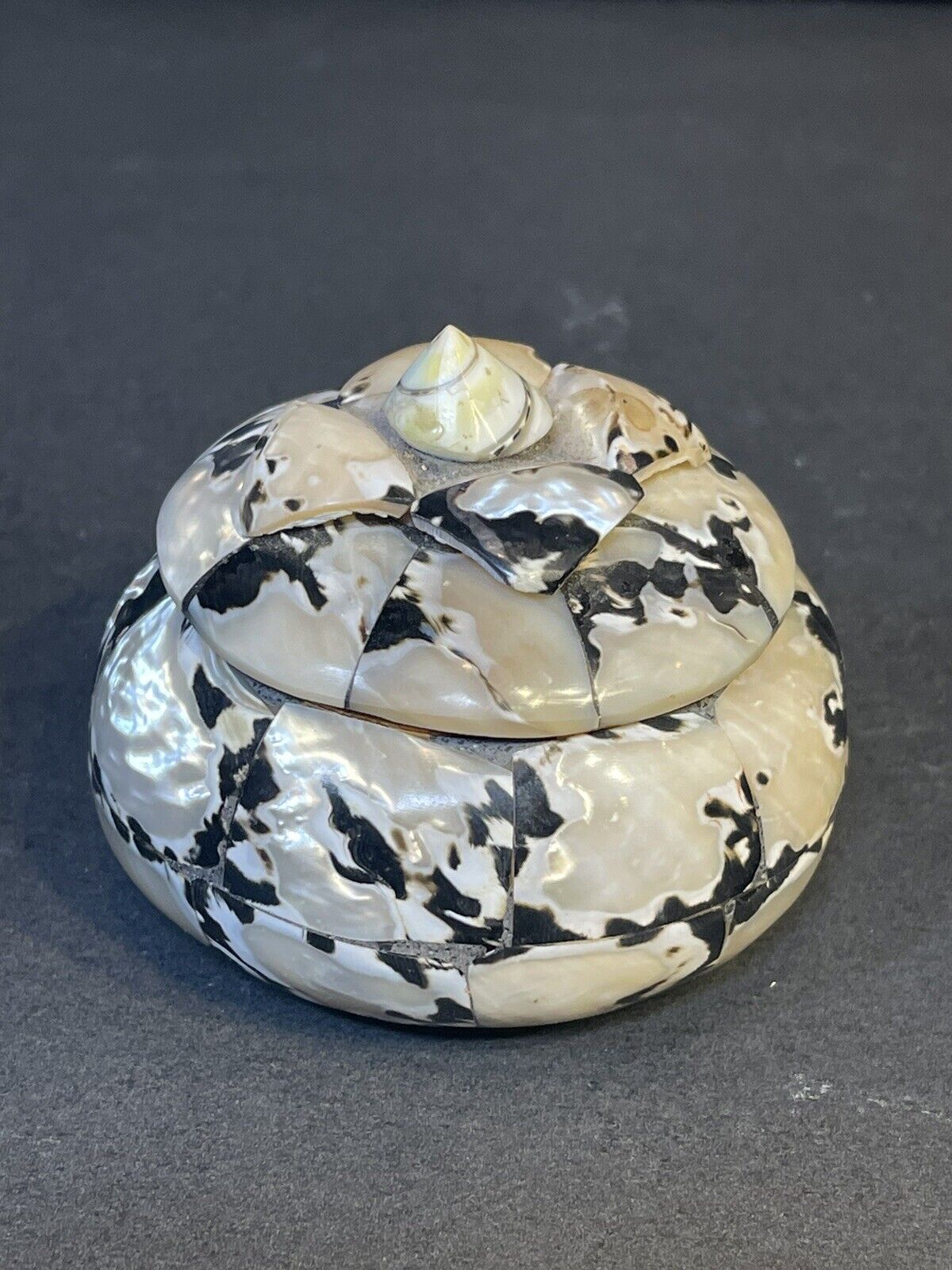 Boho Chic Twisted Abalone & Mother Pearl Wood Decorative Keepsake Trinket Box