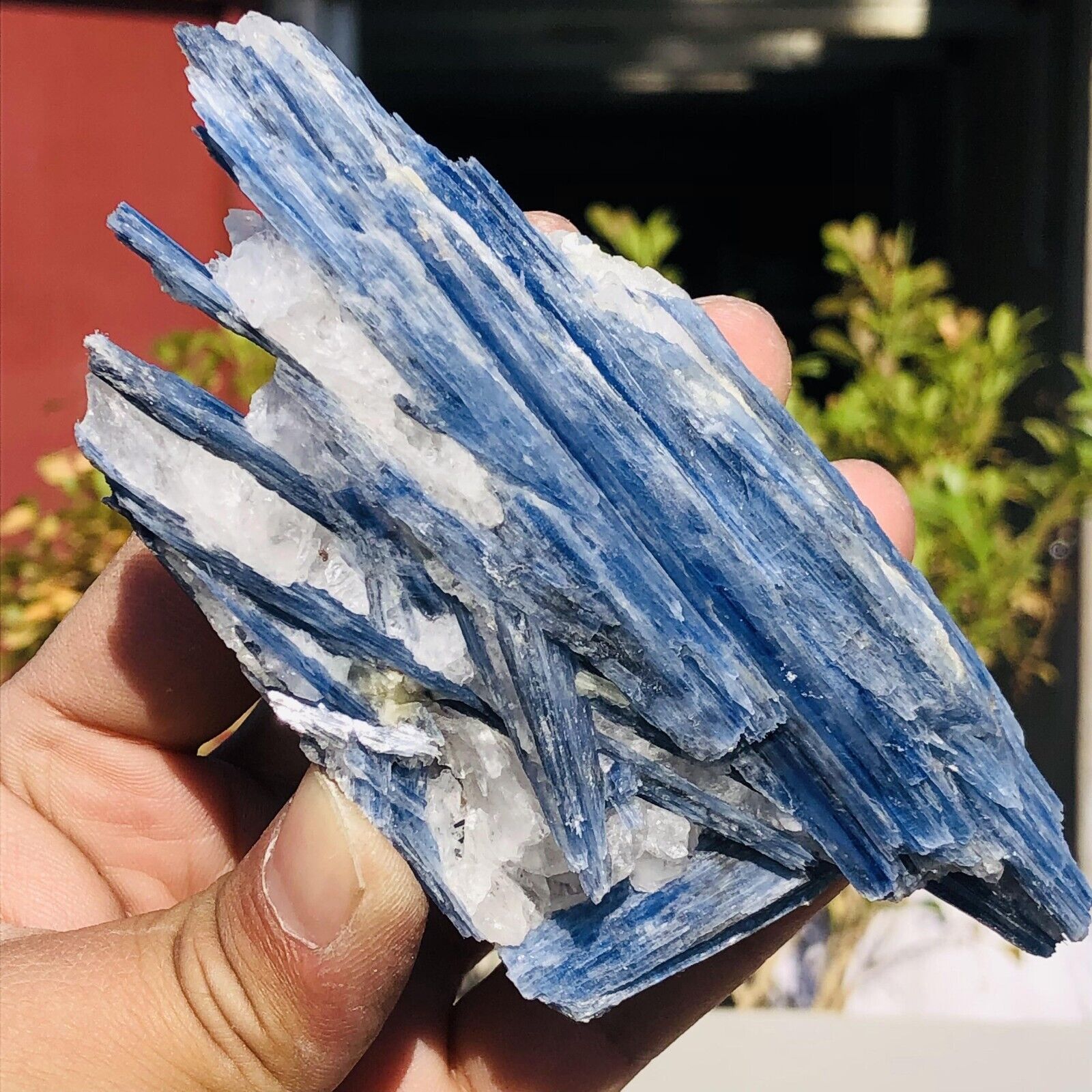 251g Rare Natural Blue Kyanite Quartz Crystal Mineral Rough Specimen Healing