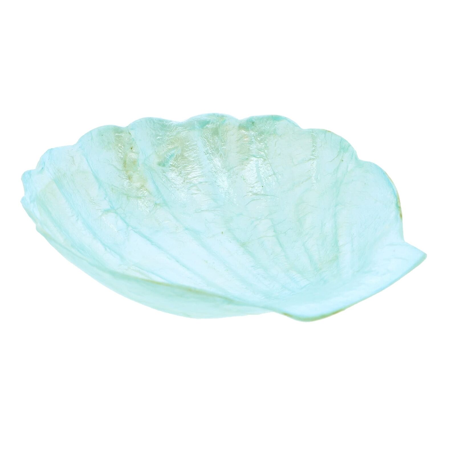 Capiz Dish Scalloped Clam Shape Oyster Shell Trinket Jewelry Tray - Turquoise