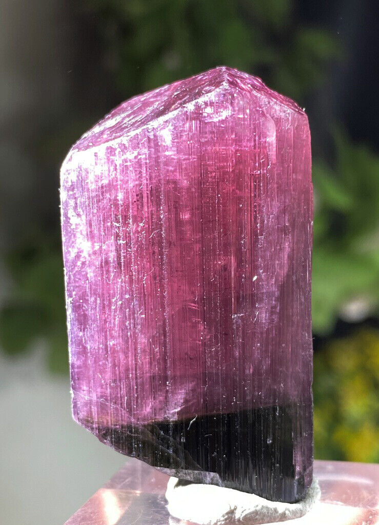 Natural Terminated Rubelite Tourmaline Crystal, Bicolor Tourmaline - 173.40 CT
