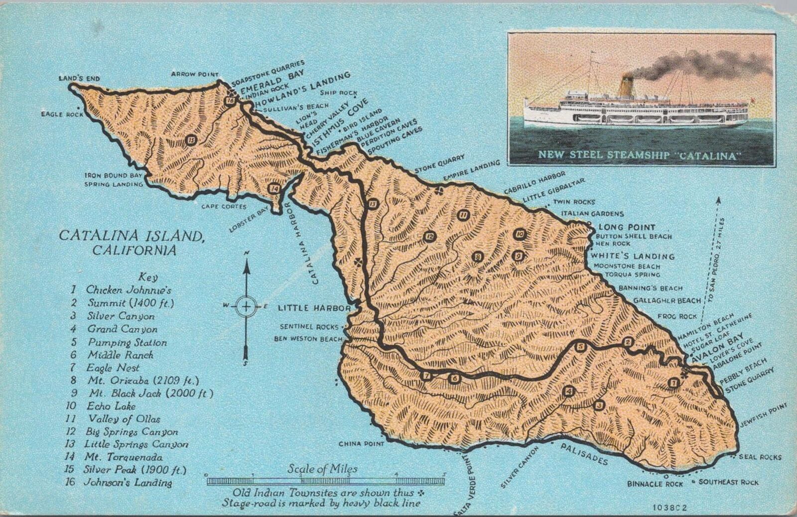 Postcard Catalina Island California 