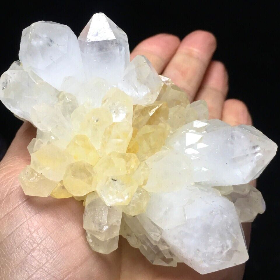 275g Museum Quality Transparent White Quartz Crystal Cluster Mineral Specimen