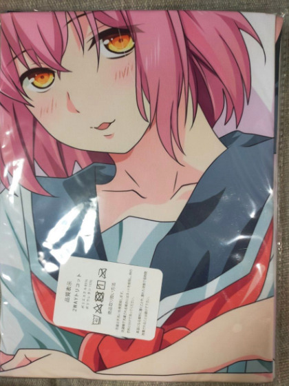 P27 Dakimakura Pillow Cover world's end harem Rena Kitayama 160×50cm Japan anime