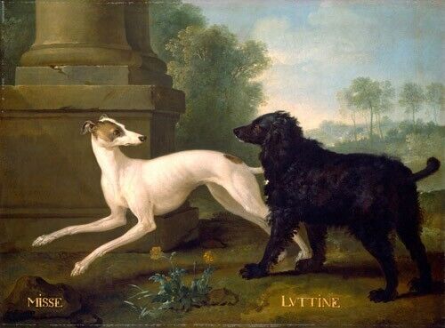 Oil painting Misse-and-Luttine-1729-Jean-Baptiste-Oudry-oil-painting dogs art