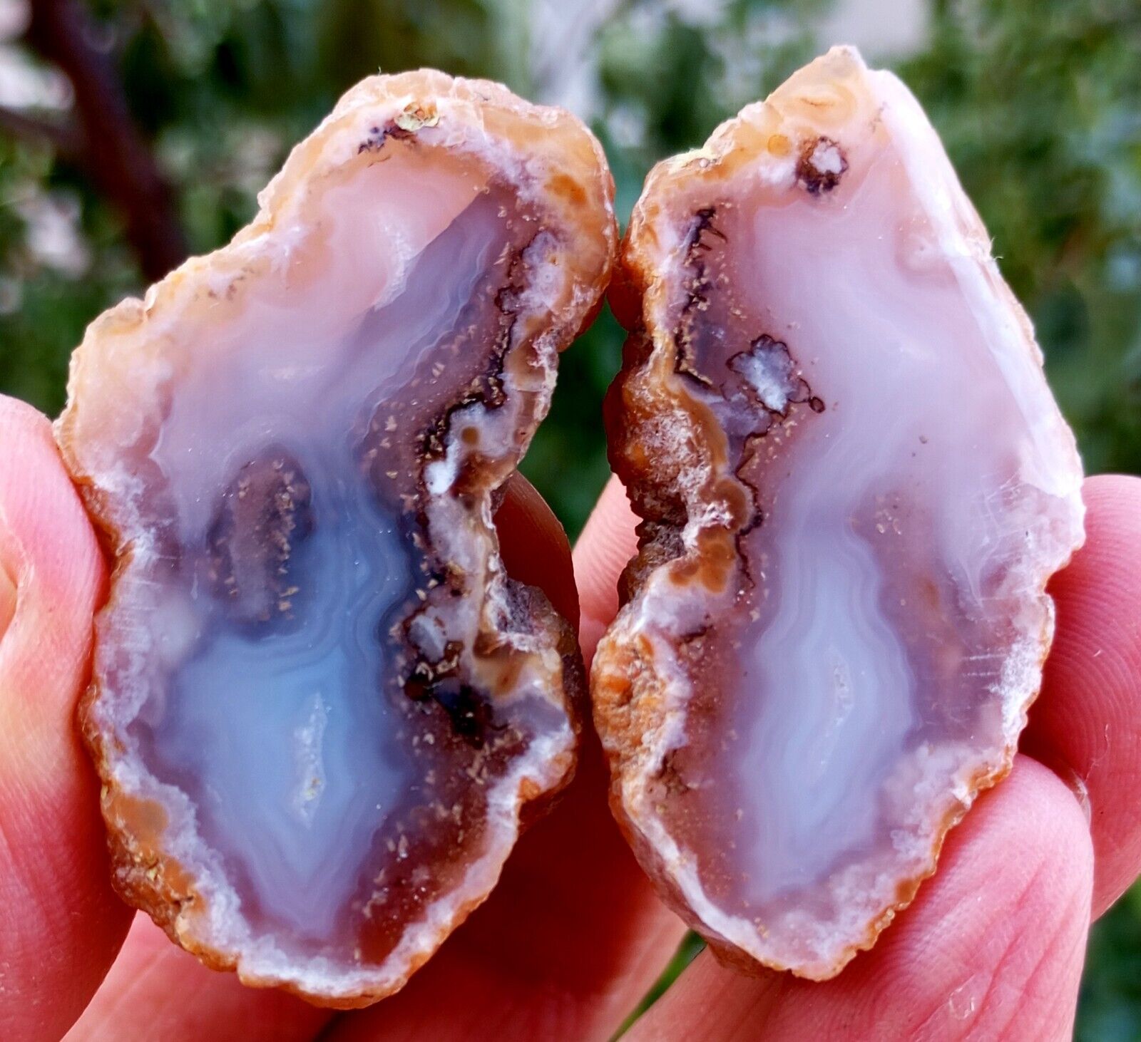 Mirror Polished Small Blue Lace Agate Pair