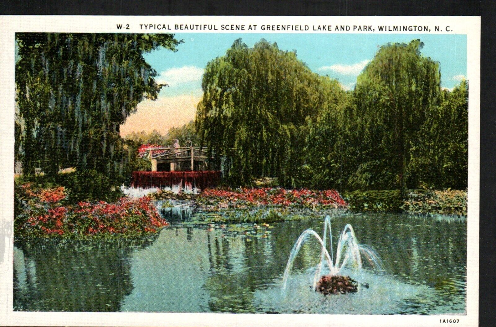 Postcard Pond Flowers Walk Bridge Scene Greenfield Lake Park Wilmington NC 1940s