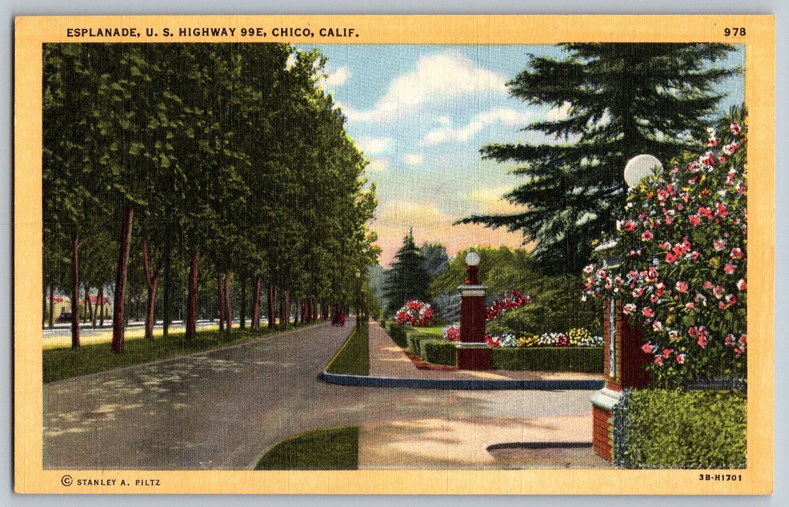 Chico, California CA - Beautiful Esplanade - U.S. Highway - Vintage Postcard
