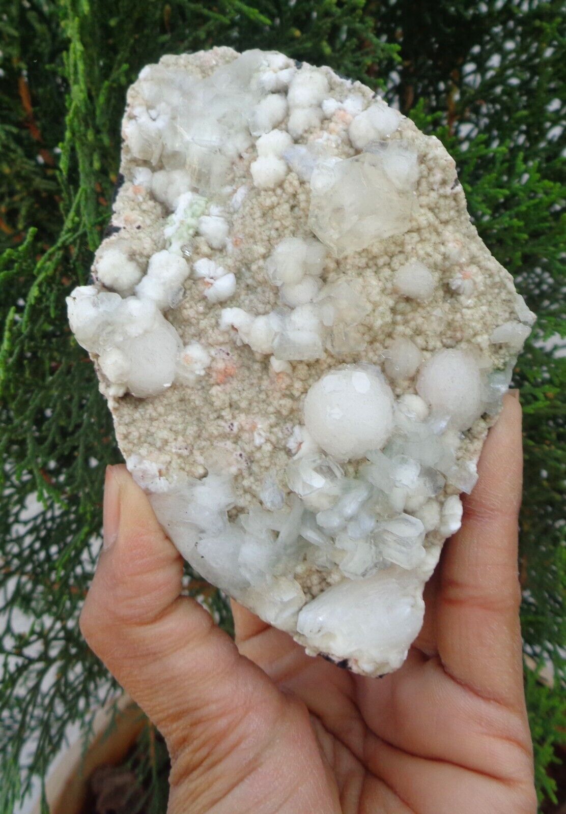 Okenite Balls w/ Apophyllite Crystals On Matrix Minerals Specimen #H24