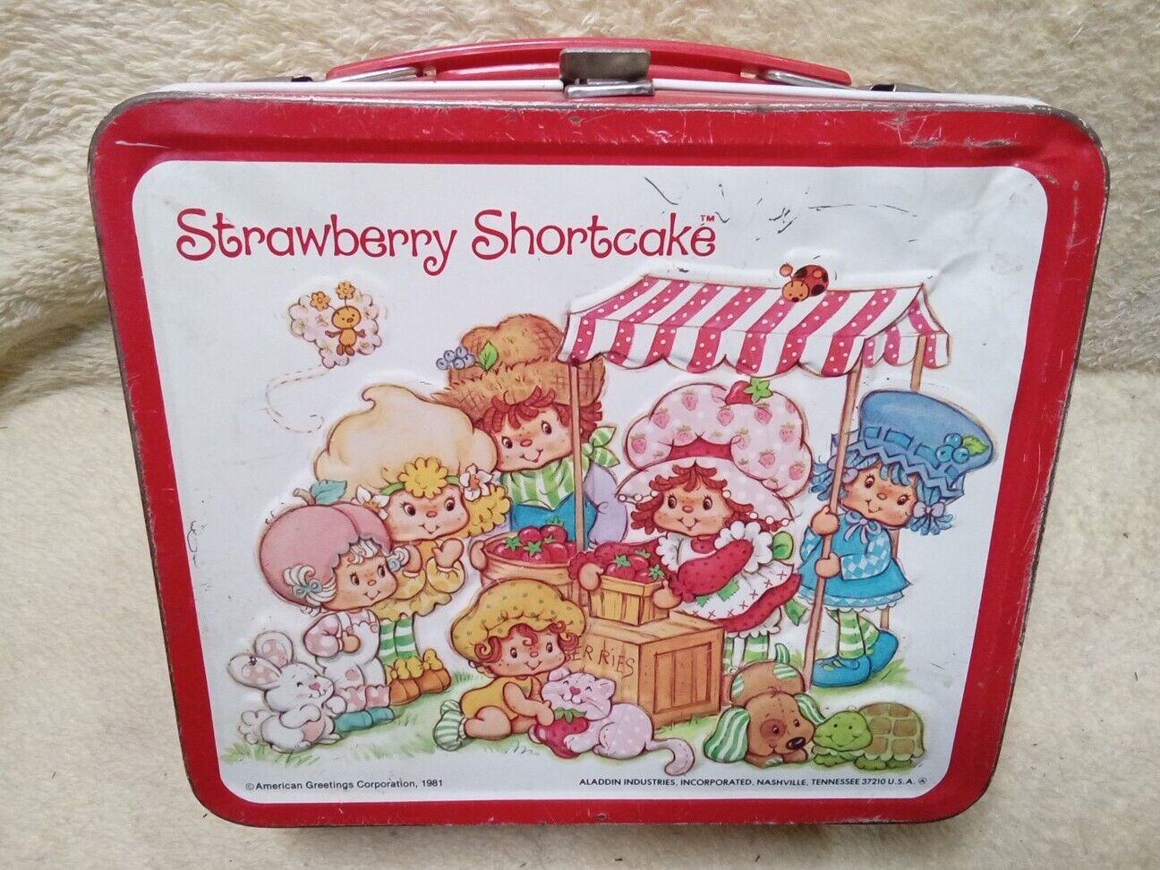 Vtg. Strawberry Shortcake Aladdin Metal Lunch Box Lunchbox 1981 Thermos Missing 