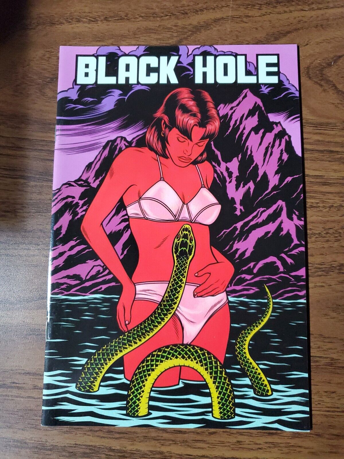 BLACK HOLE #7 by Charles Burns | 2000 Fantagraphics | VF/NM | 1st Print Horror 
