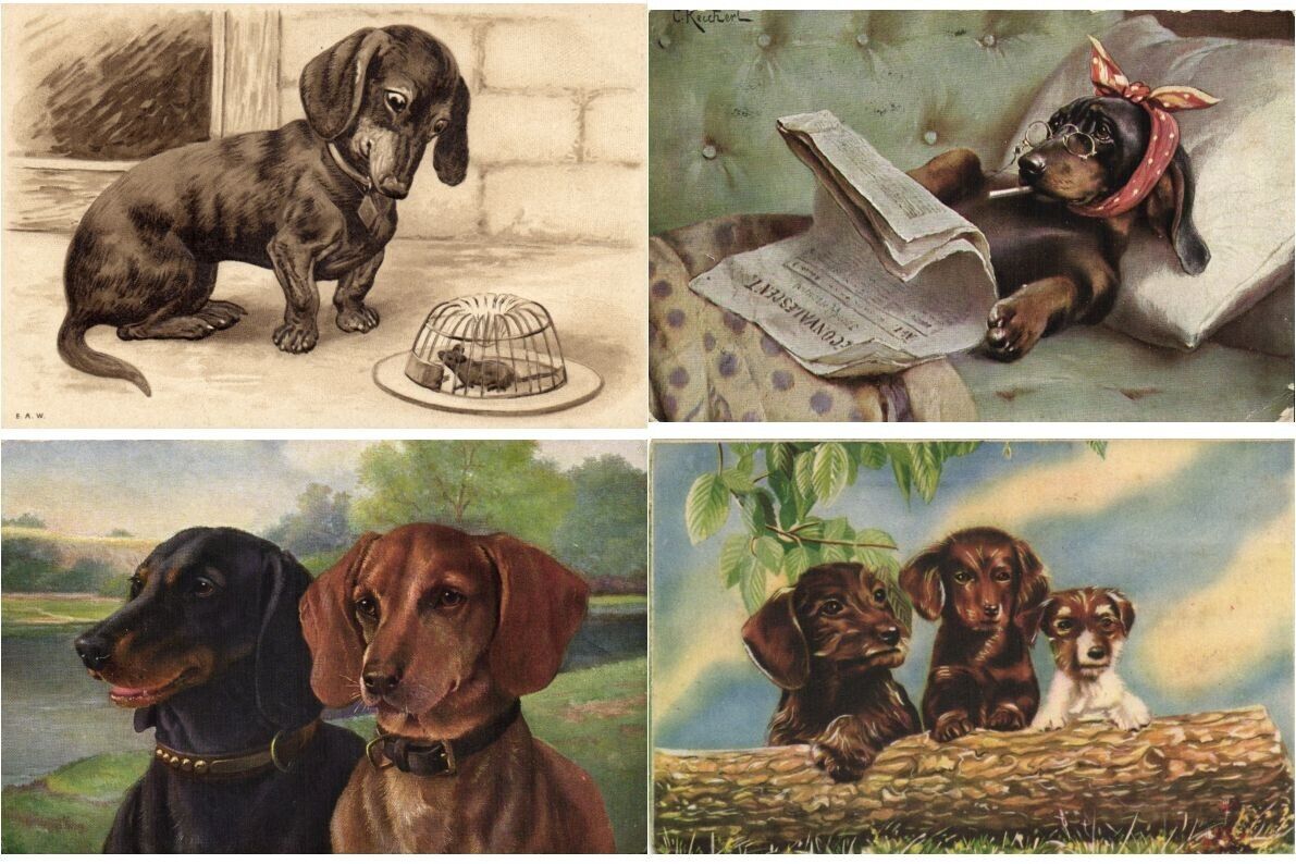 DACHSHUNDS, DOGS, 21 Vintage Postcards with Better Pre-1940 (L6910)