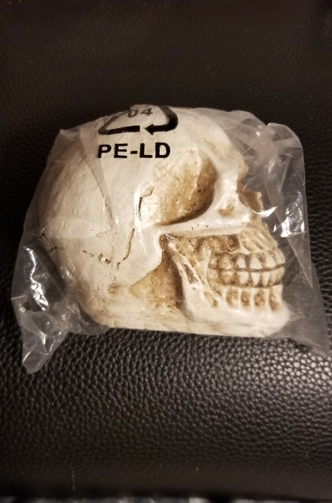 Small Resin Skull Head Statue  Figurine 3.5