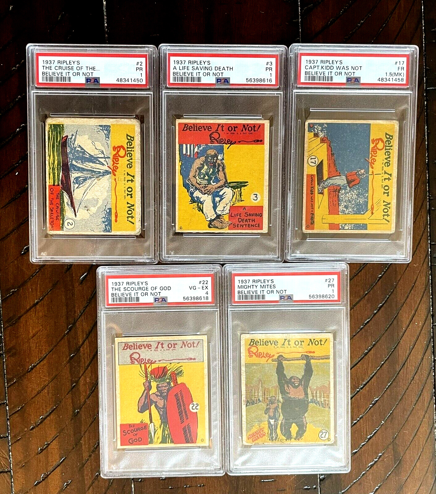RARE 1937 Ripley's Believe It Or Not - Lot of 5 PSA Graded Cards - Including #27