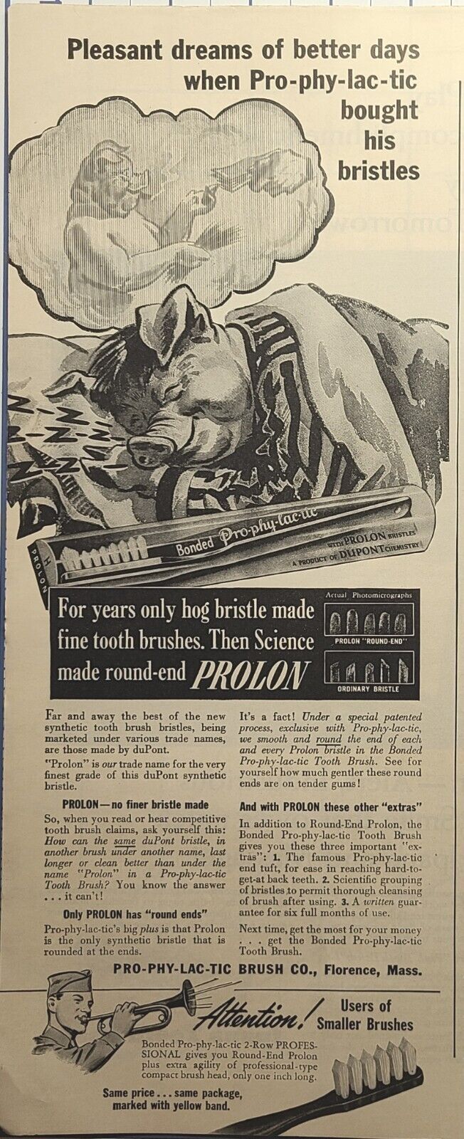Prophylactic Prolon Toothbrush Dentist Hog Bristle Vintage Print Ad 1943