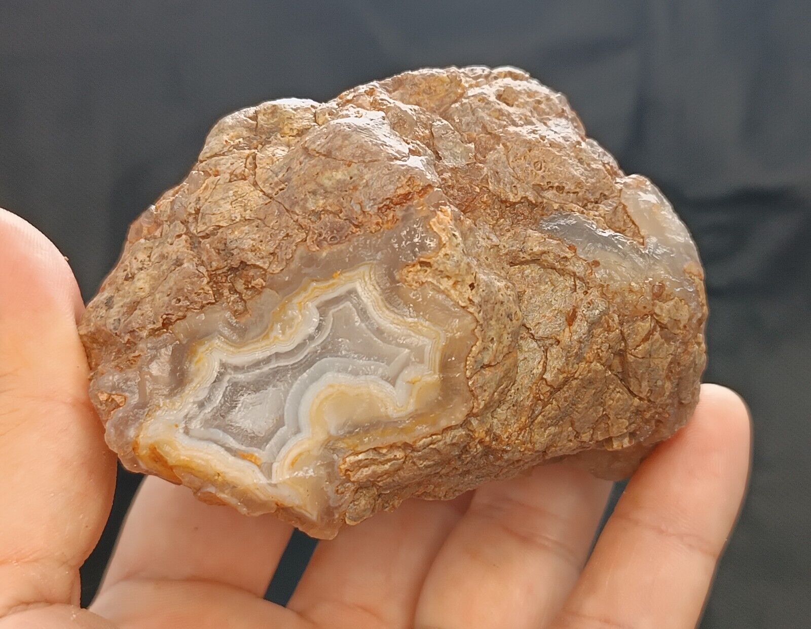 435g/0.96 lb uncut turkish banded agate stone rough,gemstone,rock,specimen