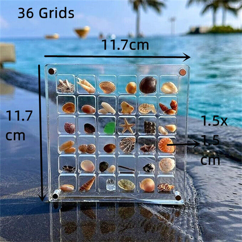 Acrylic Magnetic Seashell Display Box, 36/64 Grids Seashell Display Box US