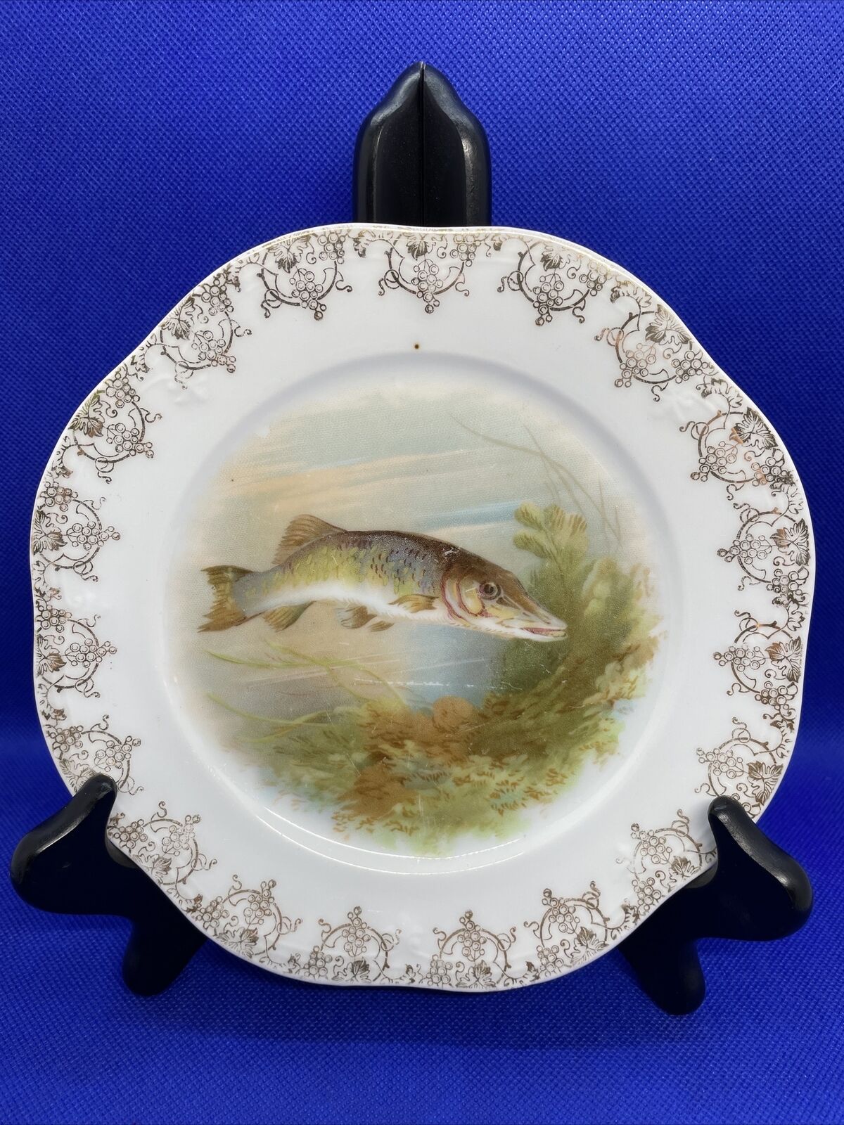 Antique Mignon Z. S. & Co. Bavaria 7.5” Muskie Fish Plate Gold Trim  1890s