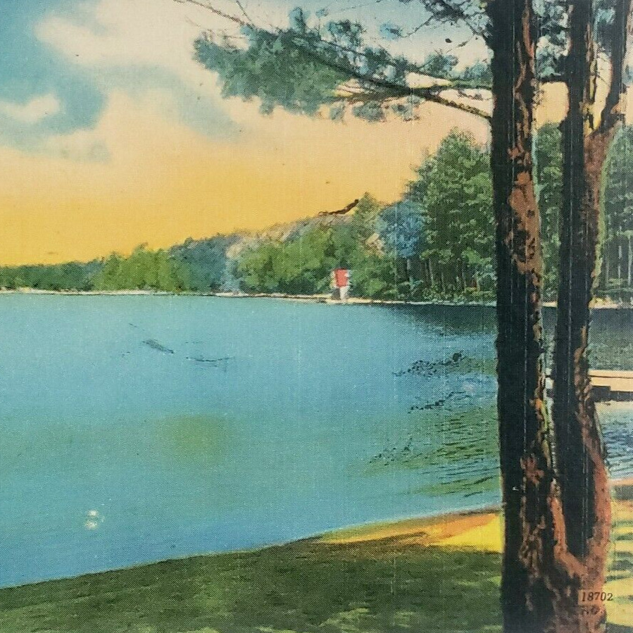 Little Sebago Lake Maine Postcard 1940s Linen North Windham Tree Dock Art B1236