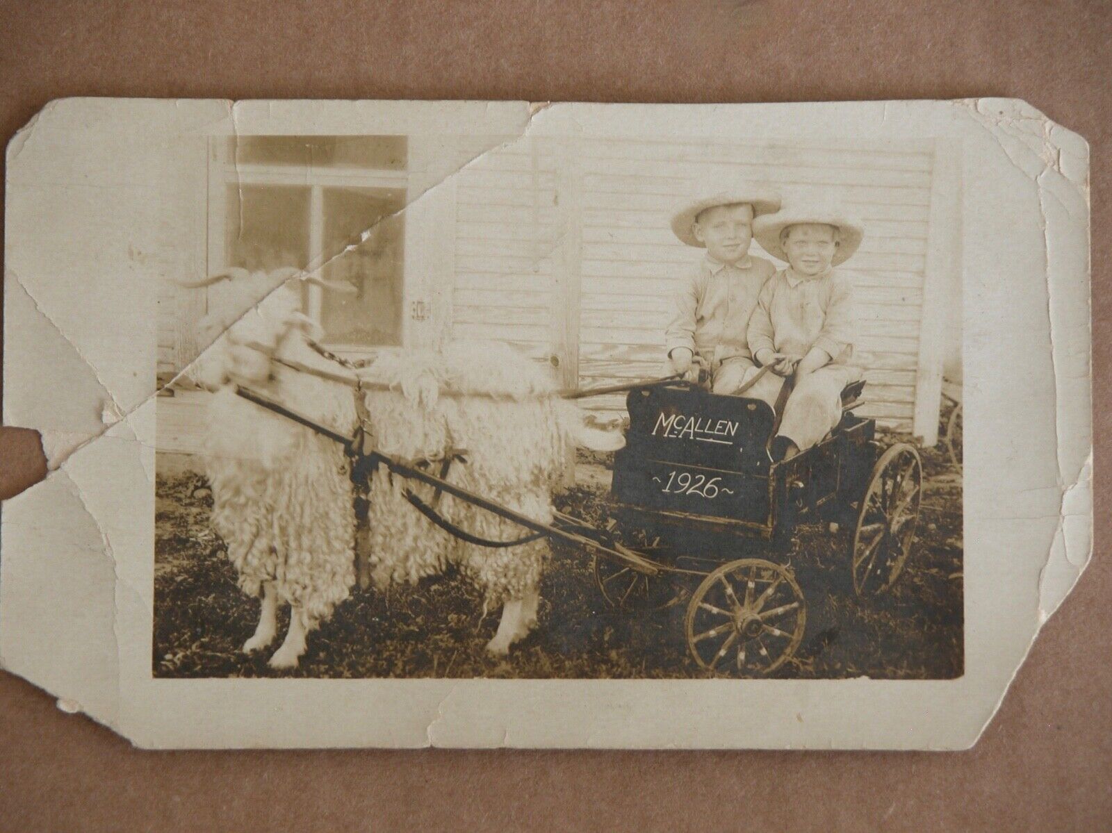 RPPC Postcard Photo Vtg 1920s Goat Cart Riders Kids McAllen 1926