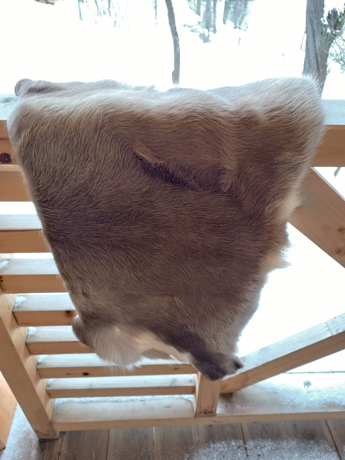 Norwegian Reindeer Skin Deer Skin Hide Rug Soft Pillow Chair Throw Over Cushion 