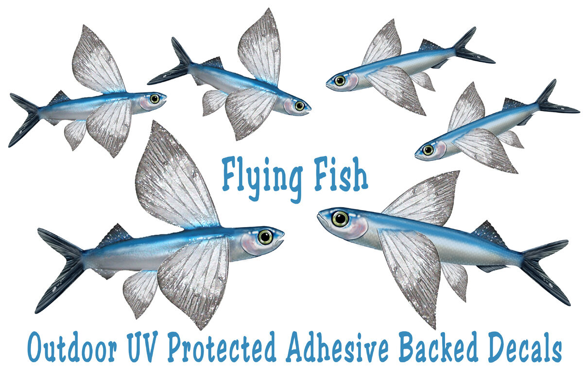 Flying Fish Decals Bumper Stickers Gifts Fisherman Fishing Left &  Right Facing