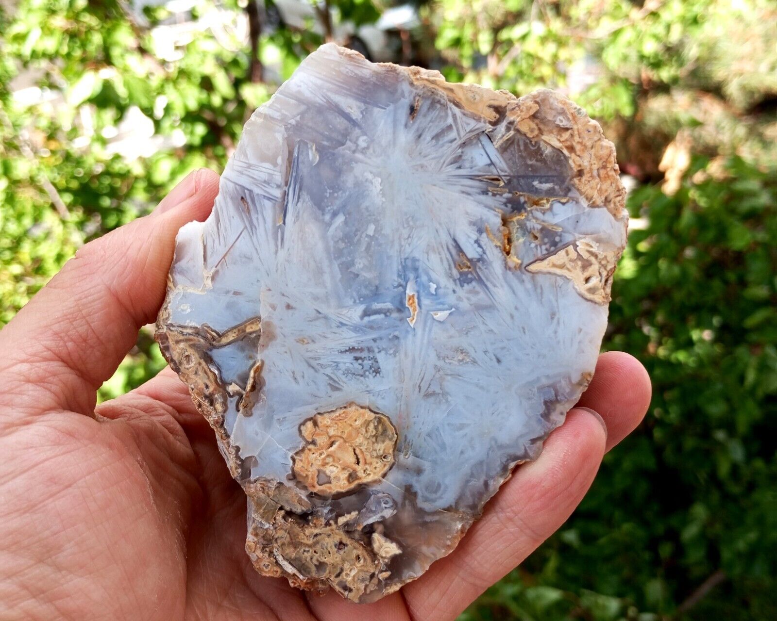 Polished Blue Sagenite Agate