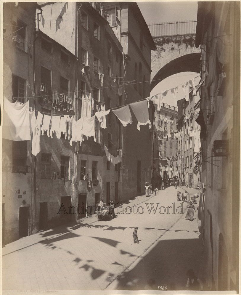 Genoa Carignano street view drying laundry antique albumen art photo Noack Italy