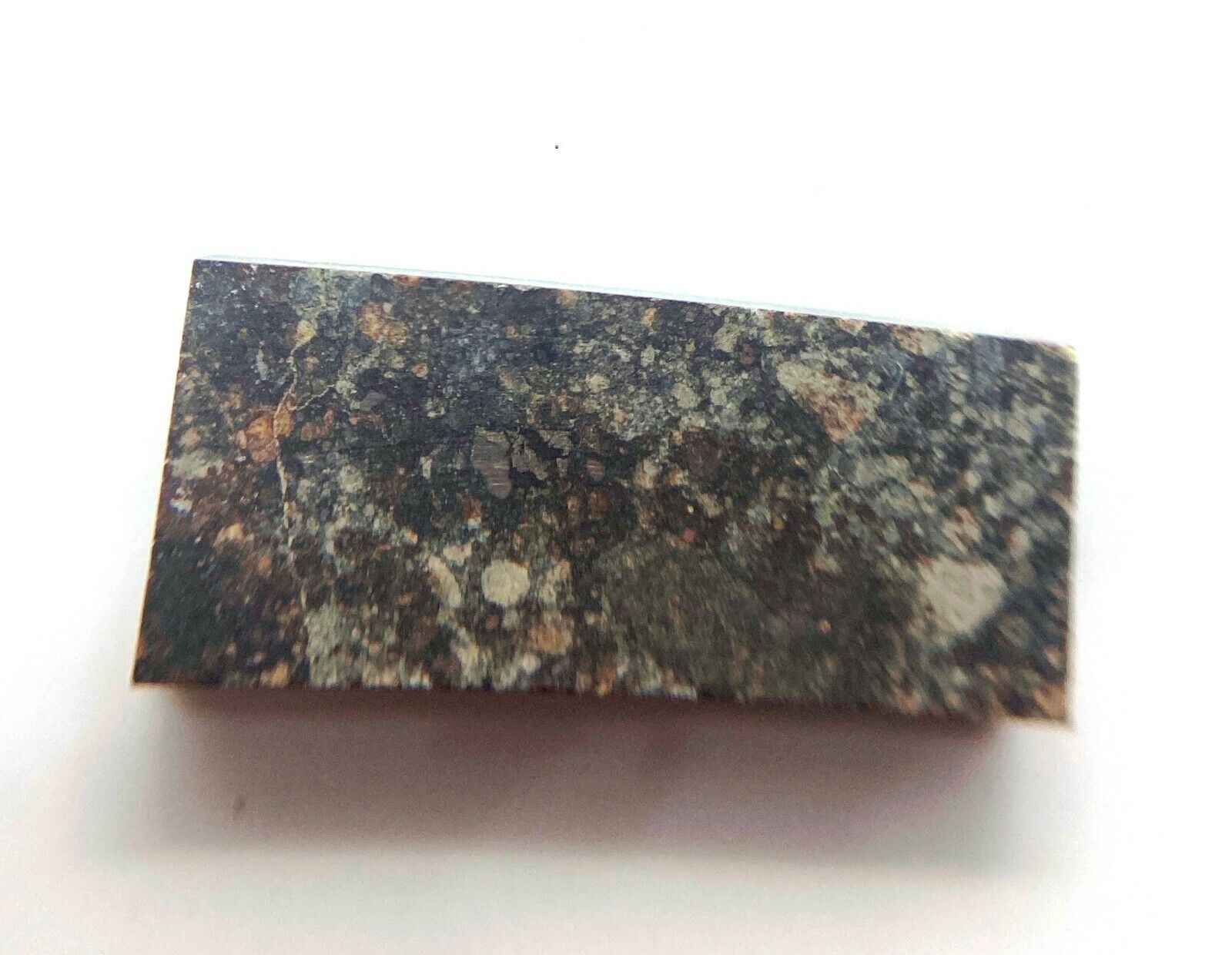 6.6 gram slice of NWA 904 - L5 chondrite meteorite 