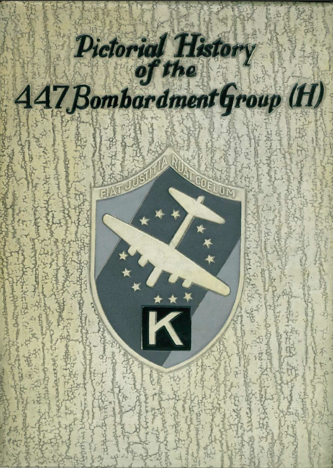 275 Page History 447th Bombardment Group 1943-1945 8th AAF Book on Data CD