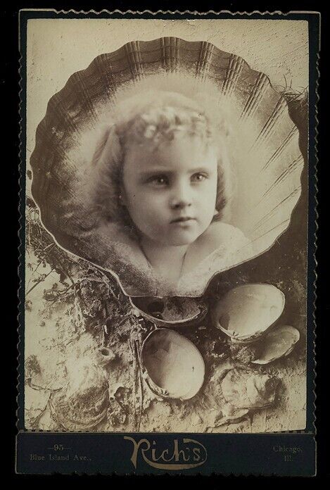 Cabinet Card Photo Little Girl in Seashell - Composite - Possible Memorial