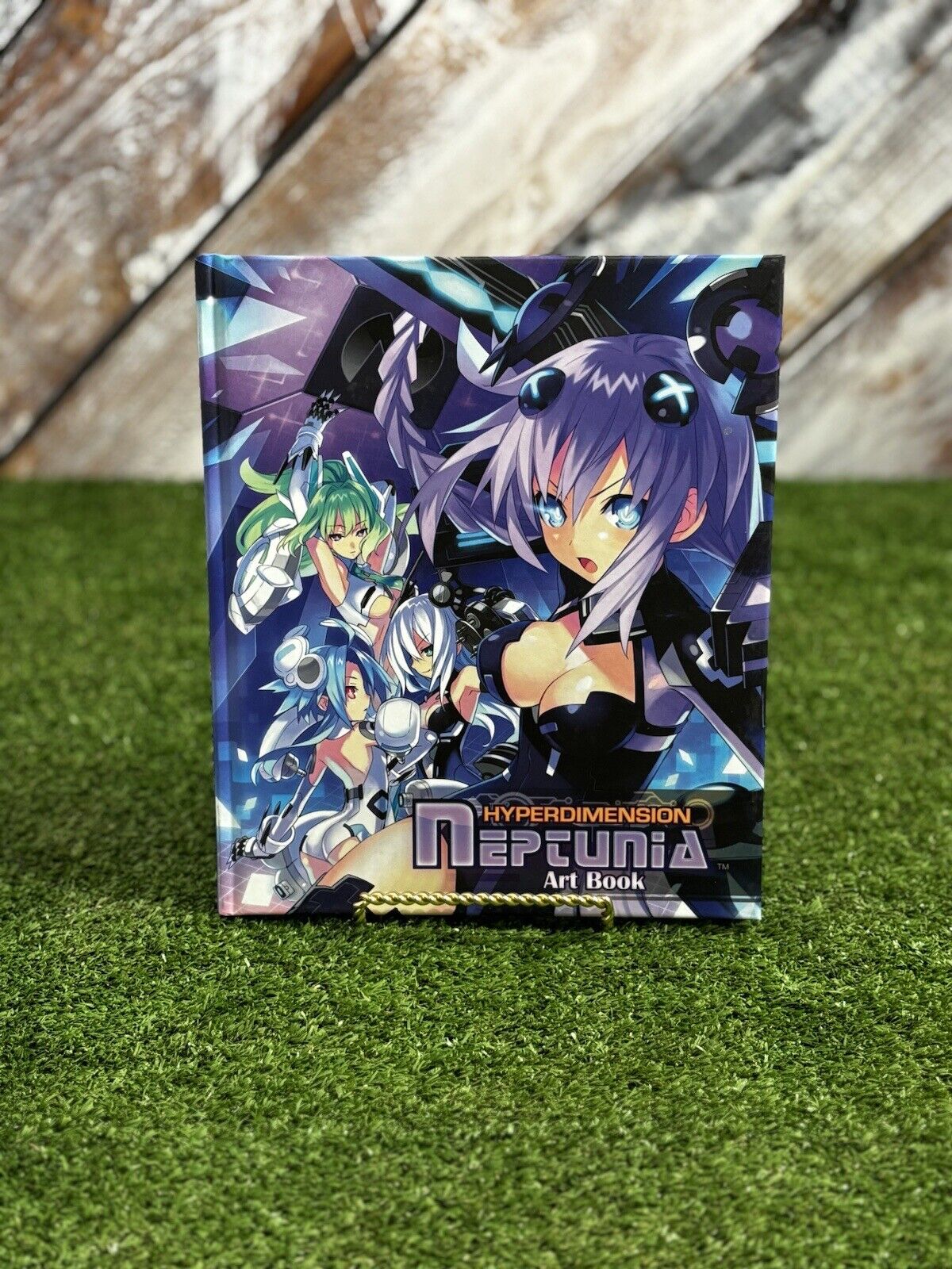 Hyperdimension Neptunia Visual Book - English HARDCOVER - 2010 RARE Anime OOP
