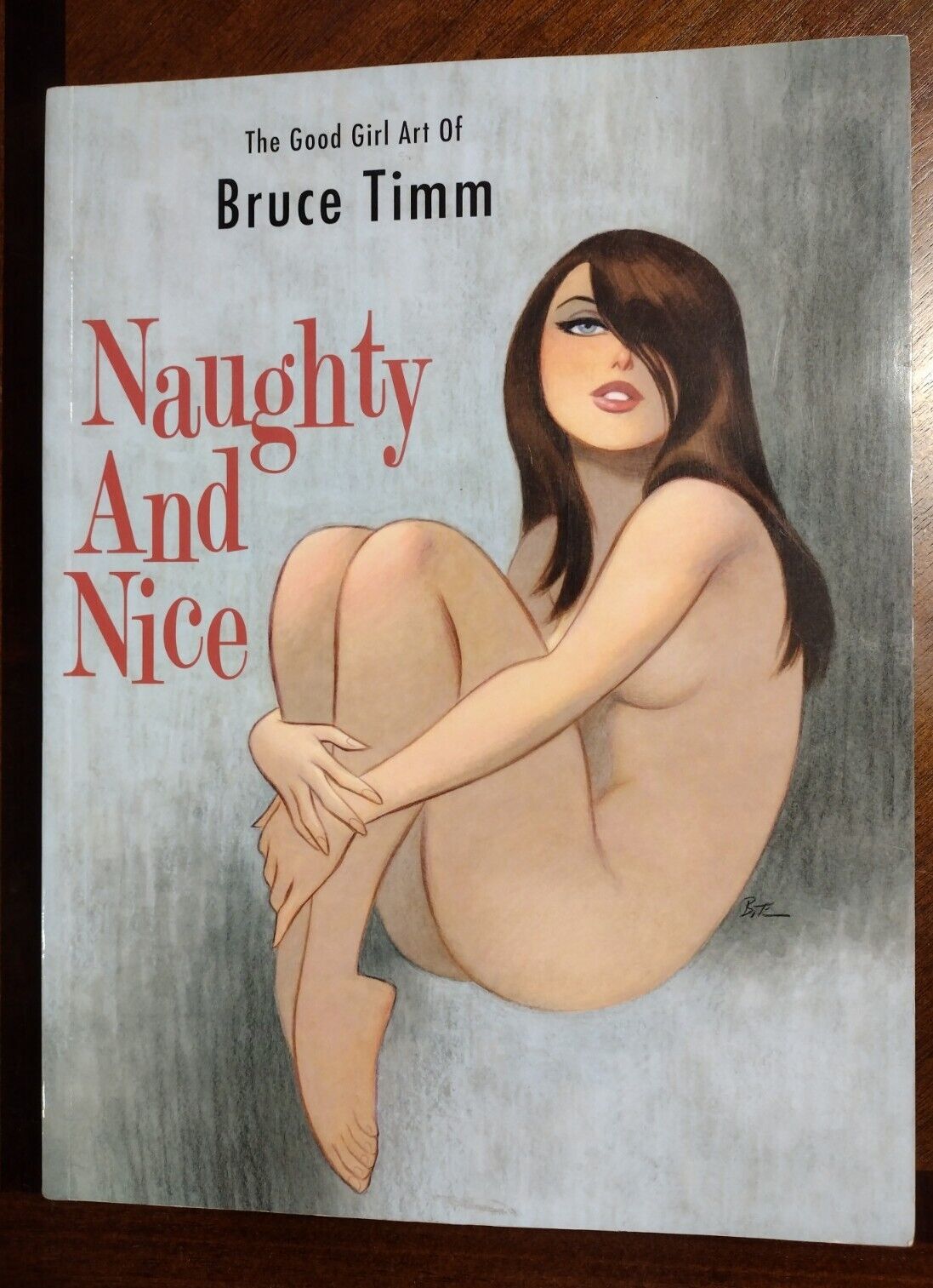 Naughty and Nice The Good Girl Art of Bruce Timm SC Flesk New but scratch & dent