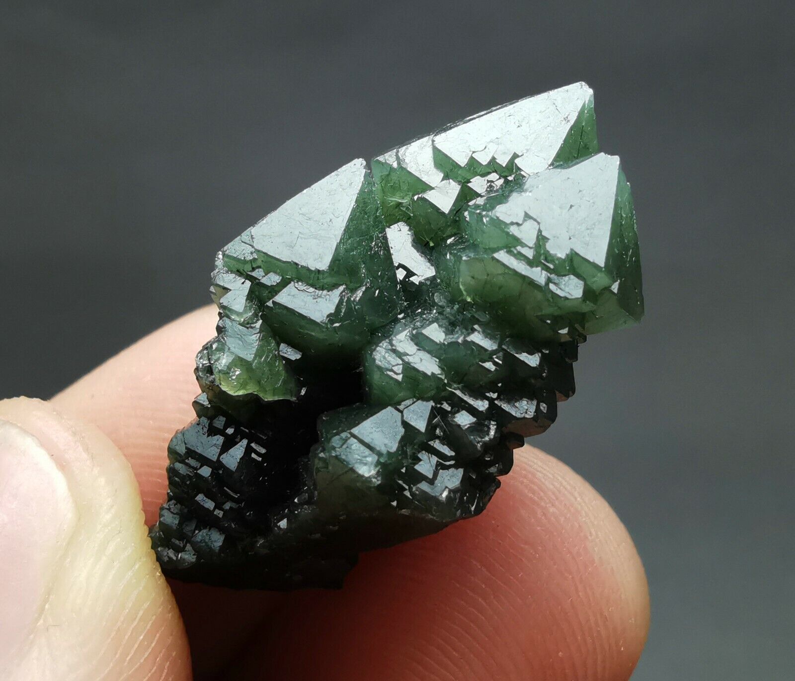 6.2g Natural Tibetan Elestial skeletal Green Quartz Crystal Cluster Specimen