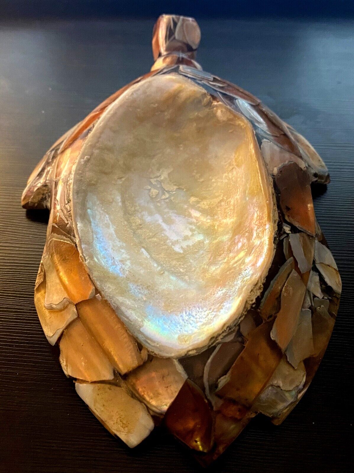 Unusual Acrylic Turtle Abalone Seashell Trinket Soap Spoon Rest Dish