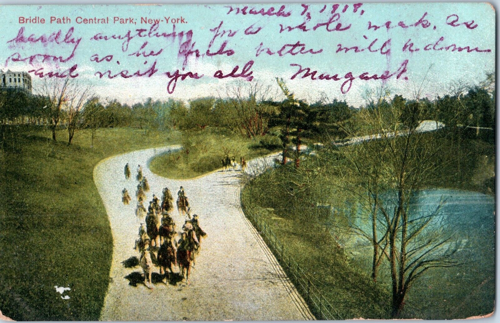 Bridle Path Central Park New York City w Horses Postcard 1903