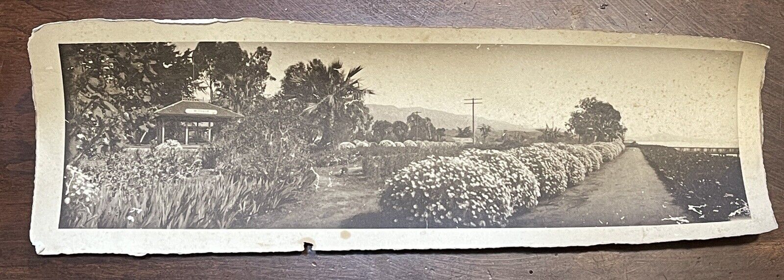 1907 Miramar Railroad  Station Southern Pacific Pano Photograph CA  San Diego