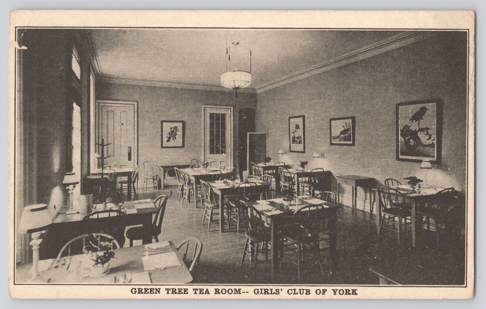 Postcard PA York Girls' Club Green Tea Room Suffragette 1916 Extremely Scarce