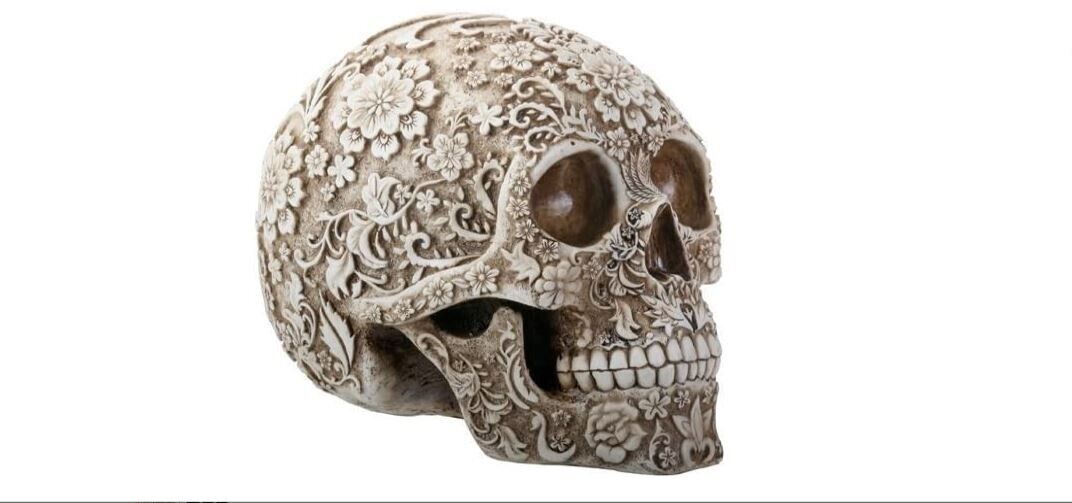 Day of The Dead White and Light Brown Colored Floral Human Skull Collection