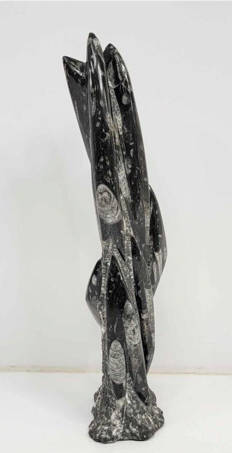 Large Orthoceras Cephalopod Fossil Tower - 21.5 in. Tall - Beautiful Piece