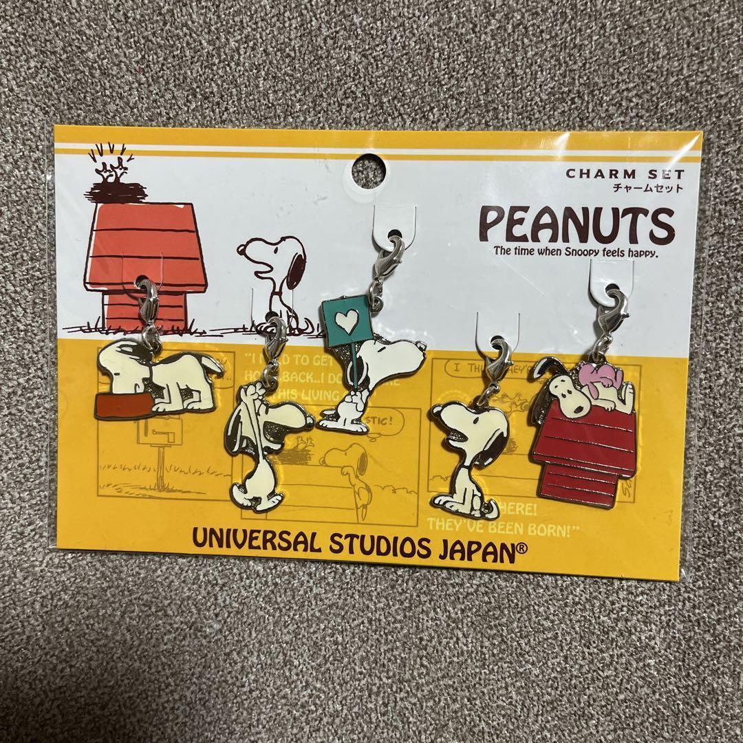Usj Limited Vintage Peanuts Snoopy Charm Set