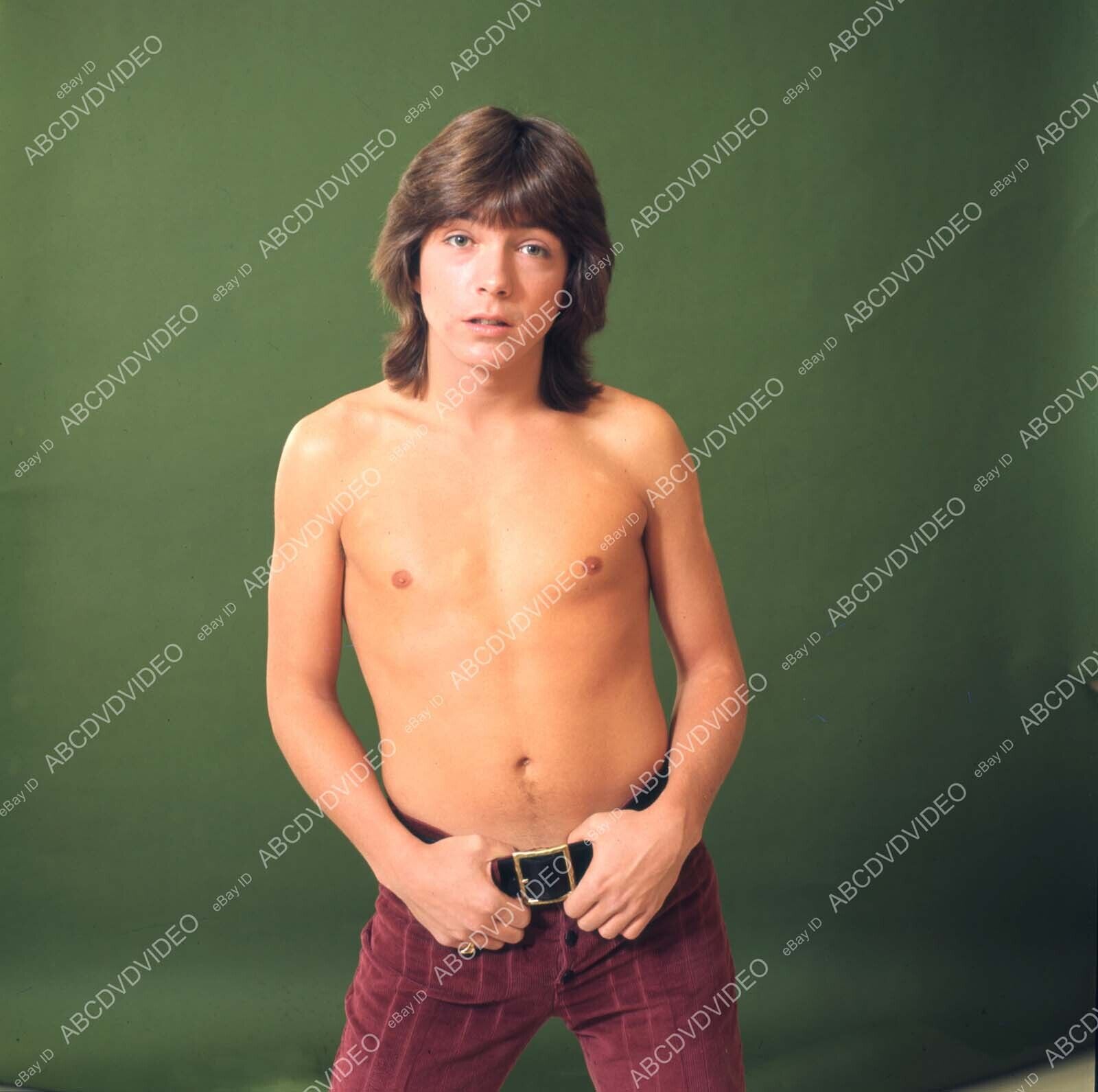 8b20-17908 shirtless David Cassidy portrait 8b20-17908 8b20-17908