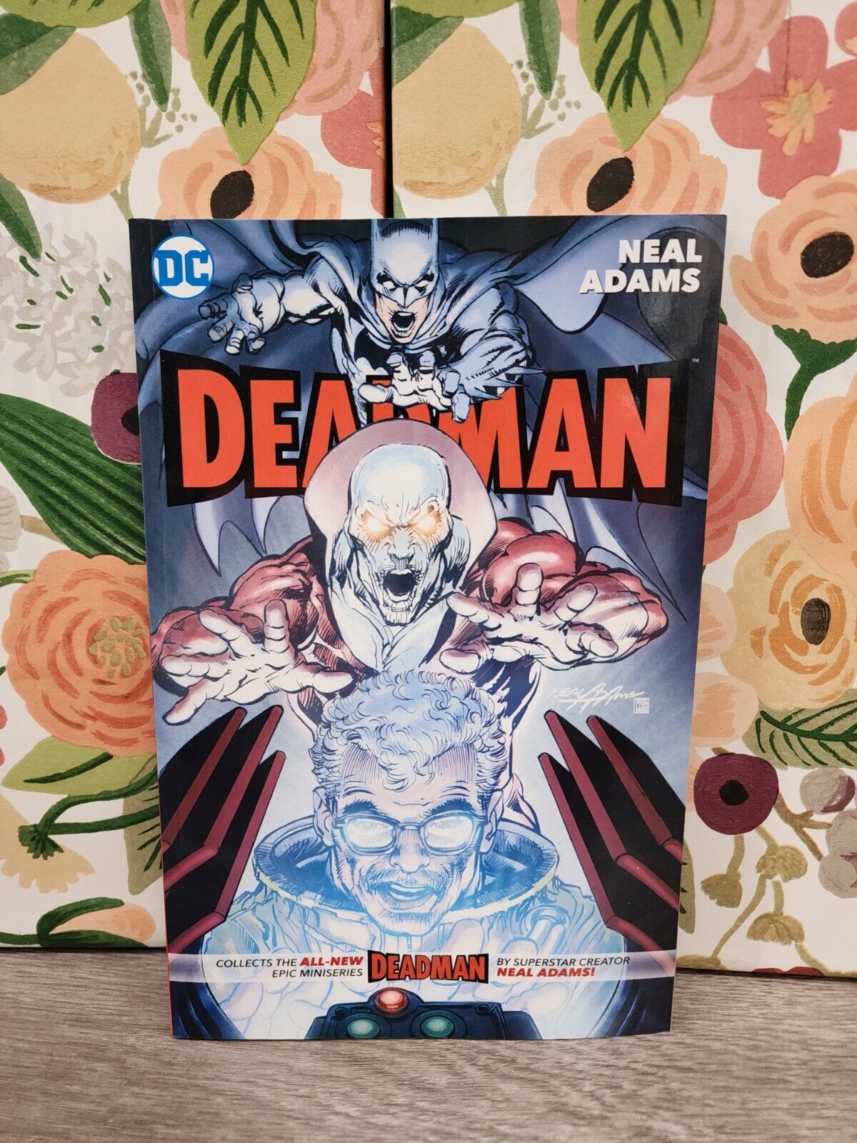 DC Comics Deadman (2018, Paperback) By Neal Adams - New
