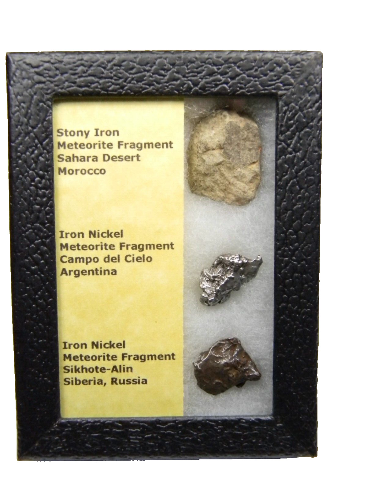 Meteorite Collection Lot Three Different Types Labeled With Display Box
