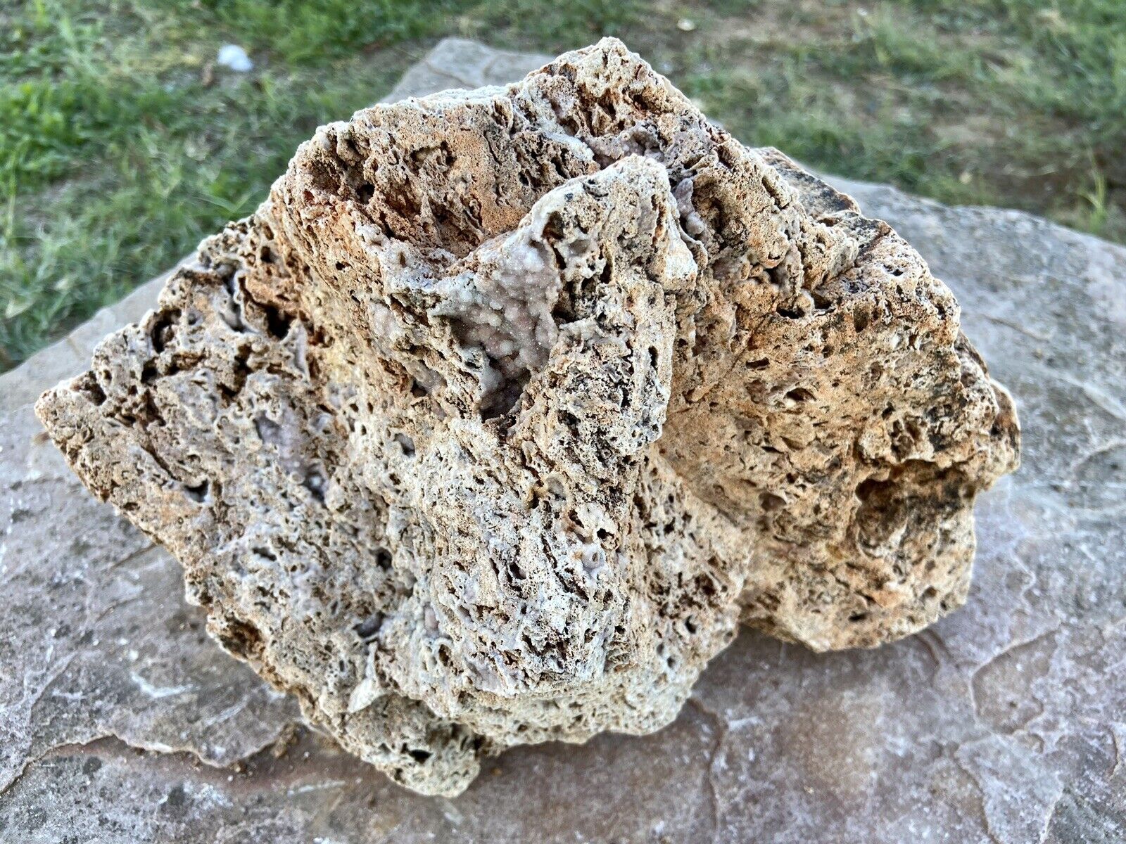 INTRIGUING* 14 LB Fossil Coral Rock Botryoidal Chalcedony & Druzy Sparkle~TX