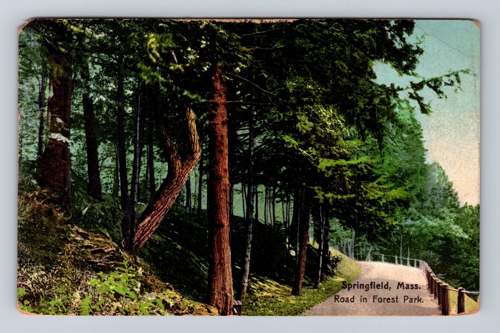 Springfield MA-Massachusetts, Road In Forest Park, Vintage c1911 Postcard