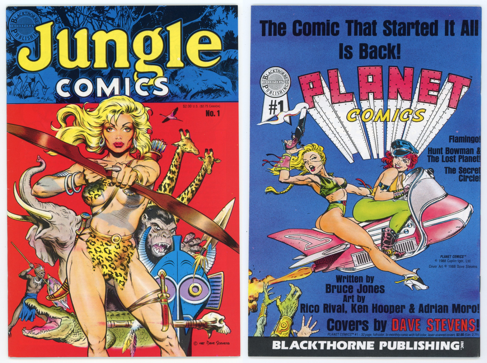 Jungle Comics #1 (VF- 7.5) Rare DAVE STEVENS Sheena Cover Art 1988 Blackthorne