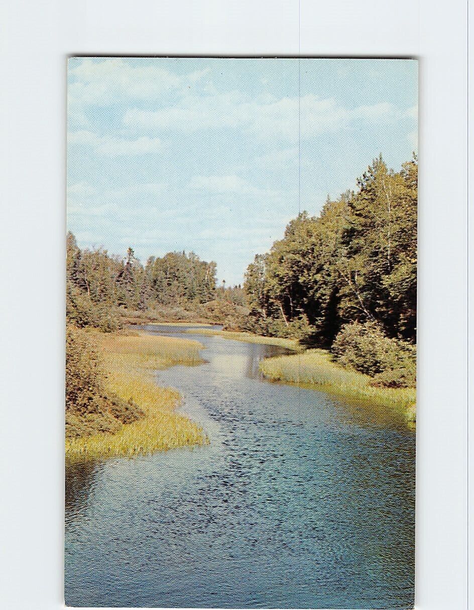 Postcard A Flowing Stream USA North America